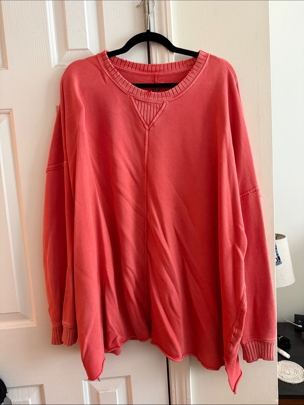 aerie Coral Relaxed Crewneck Sweatshirt